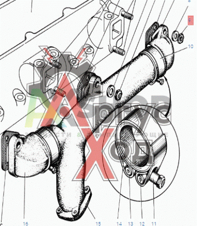 303113-П Гайка